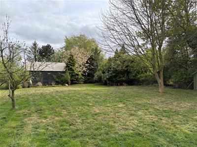 Picture 22
